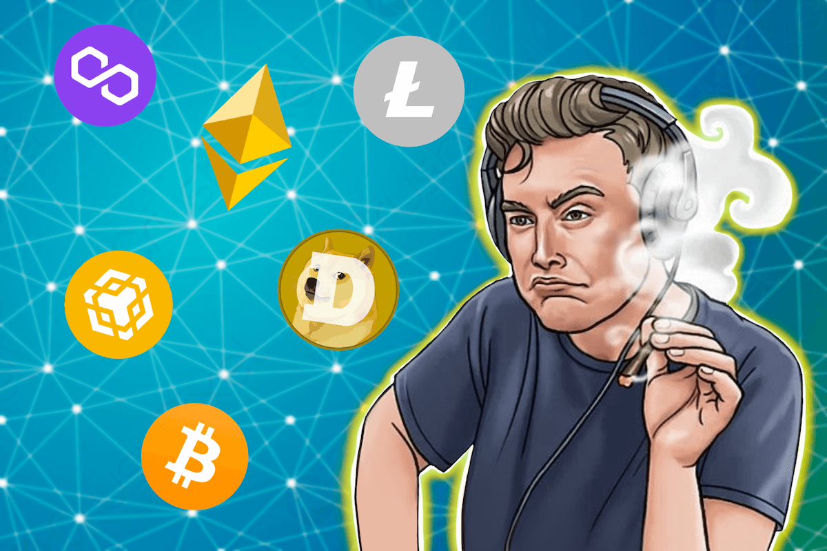 Which cryptocurrency will Elon Musk add to Twitter?